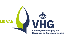 Logo-3_VHG