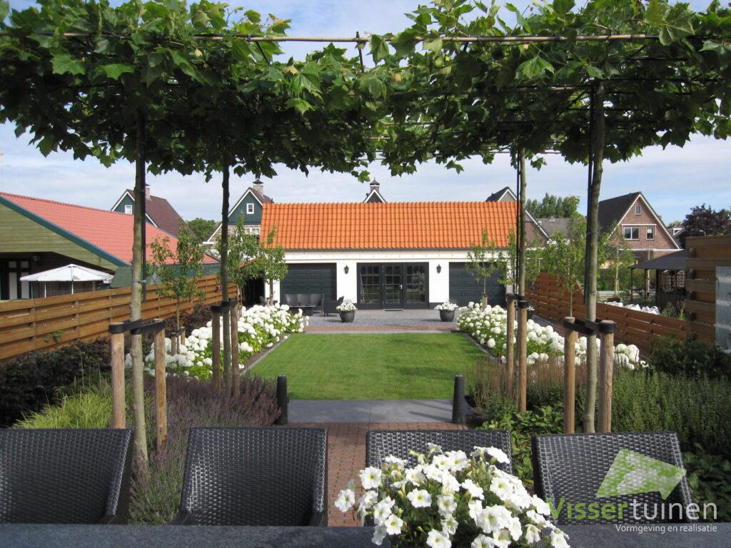 2023 visser tuinen aalsmeer roof shaped trees 1