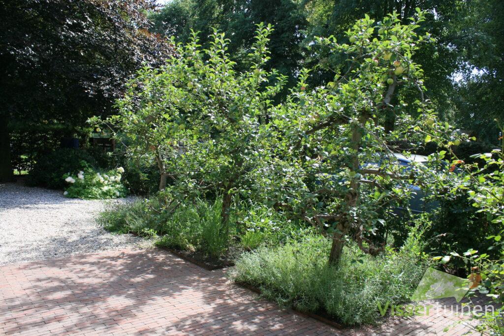 3770 visser tuinen bloemendaal brick pavement ornamental grasses bushgarden fruittrees 2