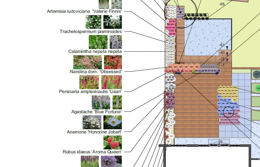 6586-visser-tuinen-beplantingsplan-tuinontwerp-planten