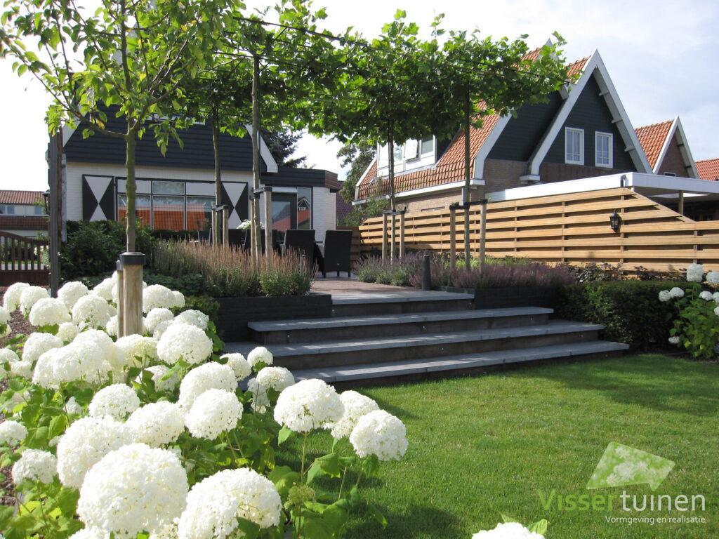 2023 visser tuinen aalsmeer annabelle hortensia wit hydrangea symetrie gazon dakvormbomen dakbomen dakplataan