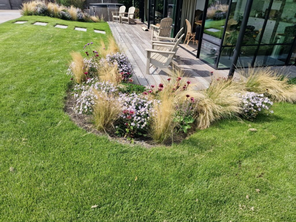 6965 Zekering Hadders Visser Tuinen achtertuin water wuivende grassen gazon Echinacea